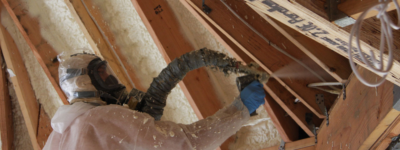 Anchorage Alaska Attic Insulation Spray Foam